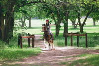 0N0A1691