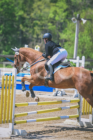 DSC_5253