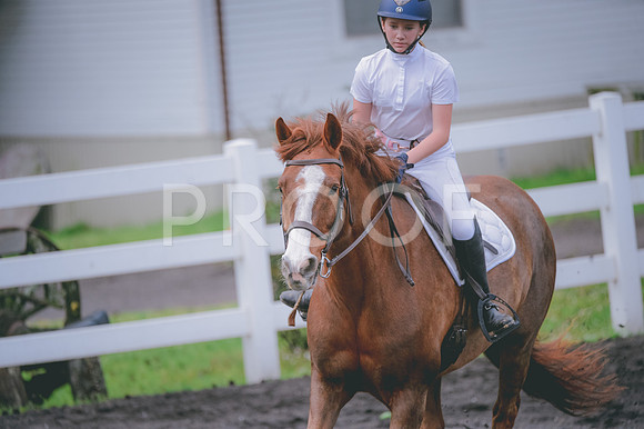 JJS_3439