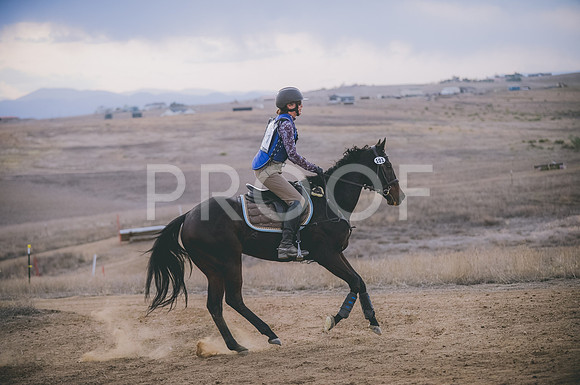 JJS_6397