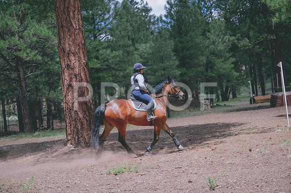 JJS_7728