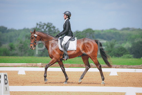 RWP_4328