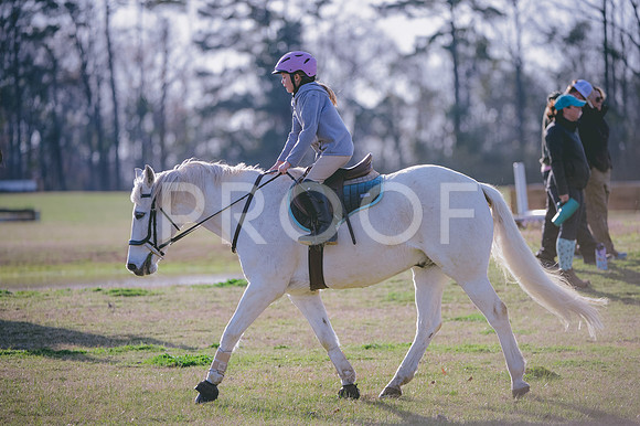 JJS_1595
