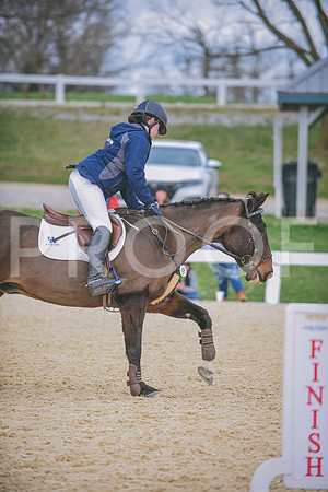 DSC_0646 copy