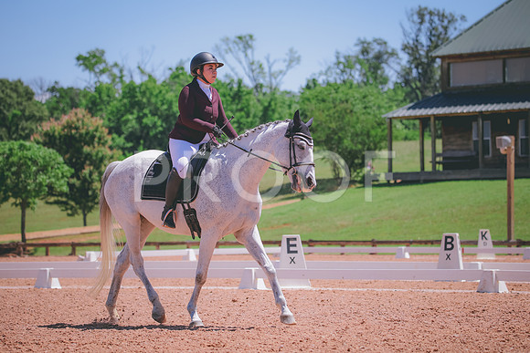 RWP_0444