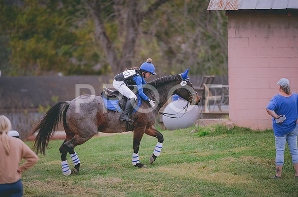 JJS_5941