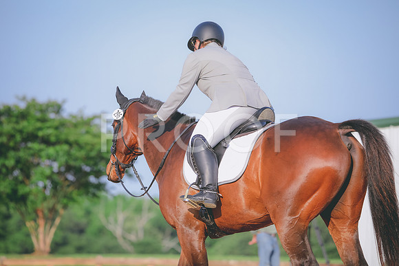 RWP_3681