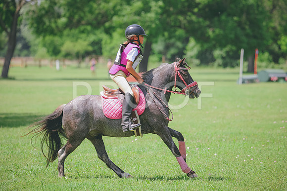 RWP_4324