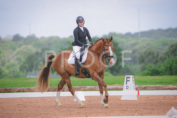RWP_4279
