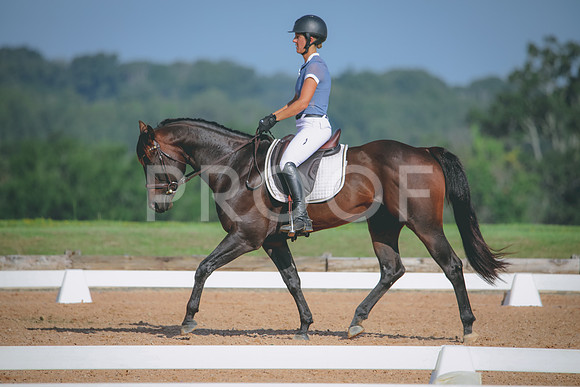 RWP_4613