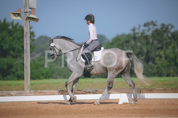 RWP_4556