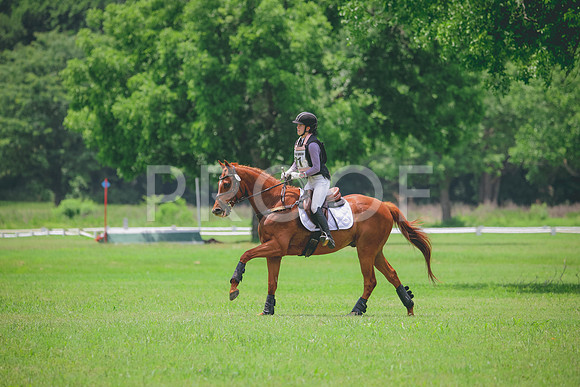 RWP_2906