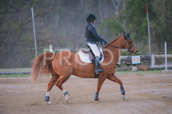 JJS_1206