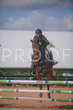 NIKON D4 (36463)