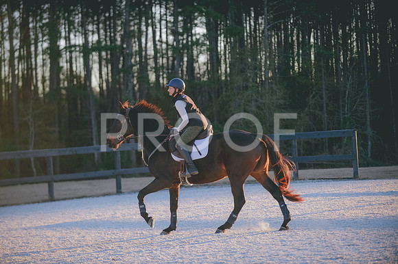 JJS_3337