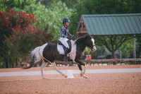 RWP_4203