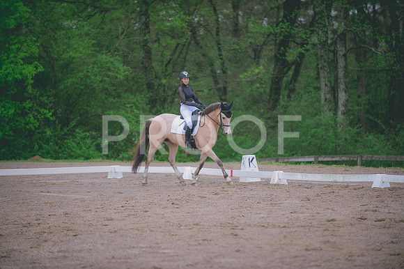 JJS_5261