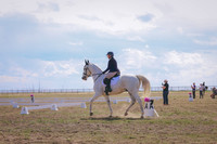 CLSL9305