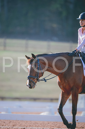 JJS_7744