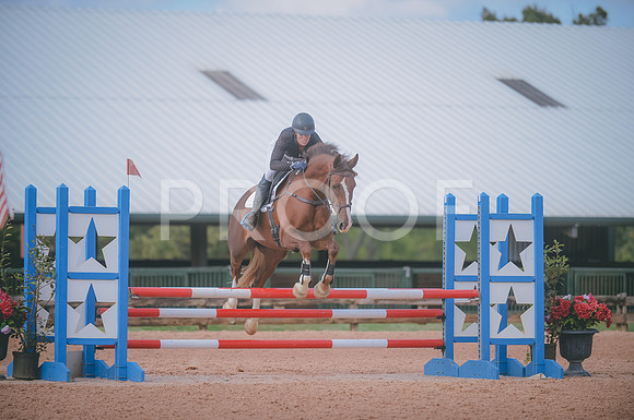 NIKON D4 (42600)