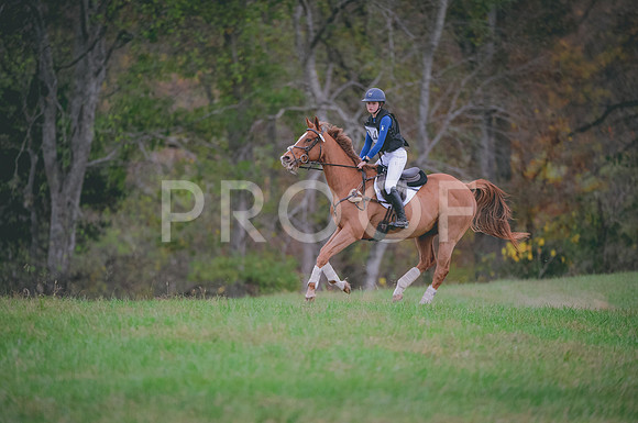 JJS_0248A