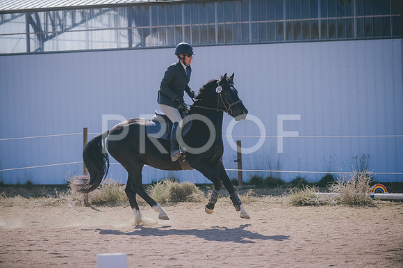 JJS_6236