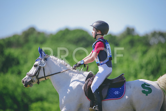 RWP_1332