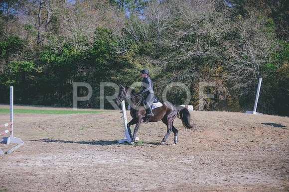 JJS_3183