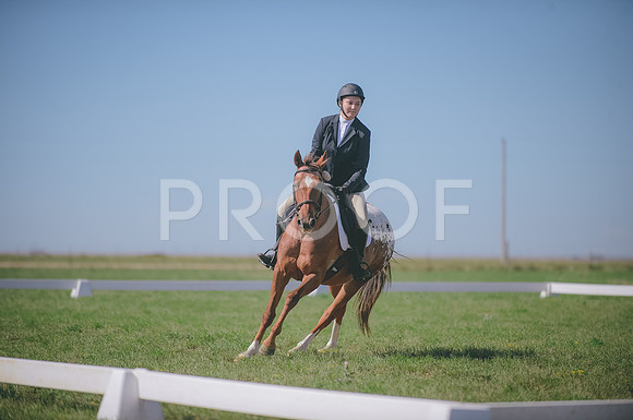JJS_2016