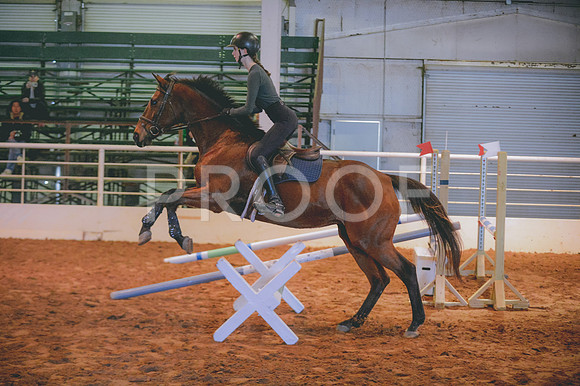 JJS_0345