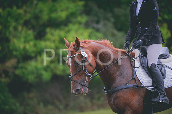 JJS_5107