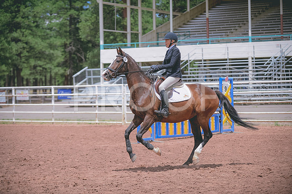 JJS_0738