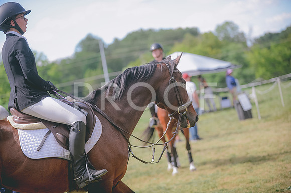 JJS_3954