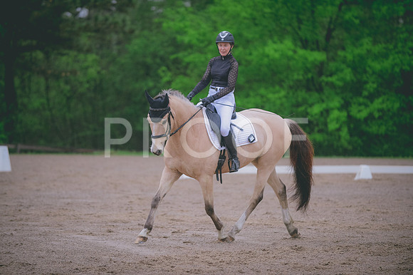 JJS_5278