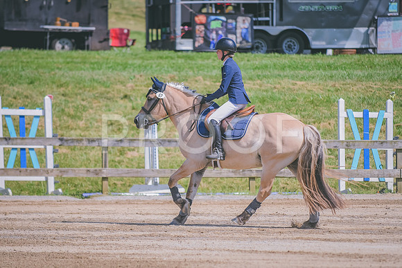 DSC_4889