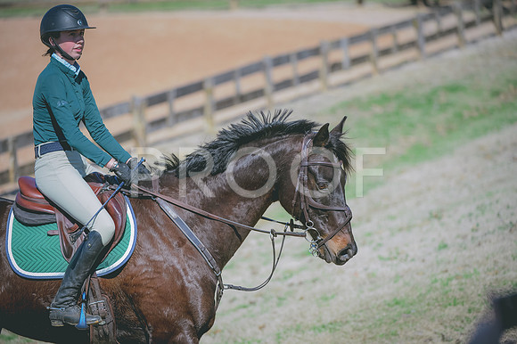 JJS_3962