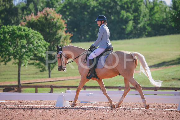 RWP_9388