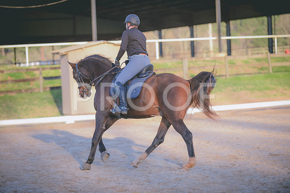 JJS_6897