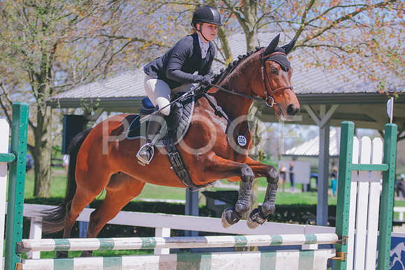 _C__2216 copy