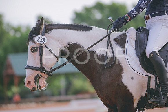 RWP_4207