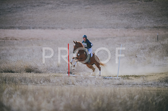 JJS_0237