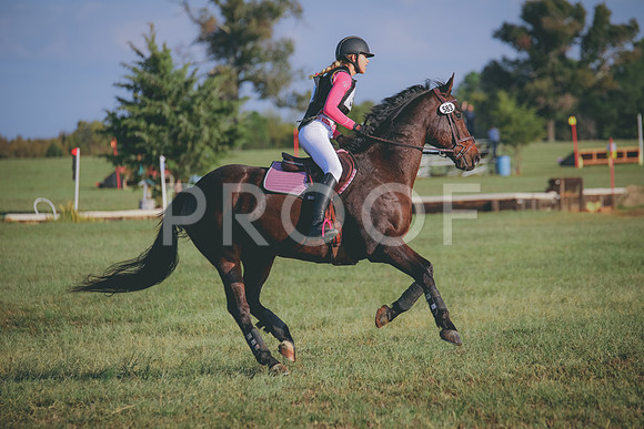RWP_0013