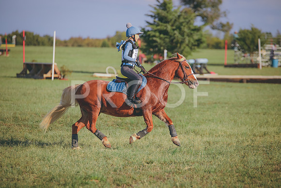RWP_0022
