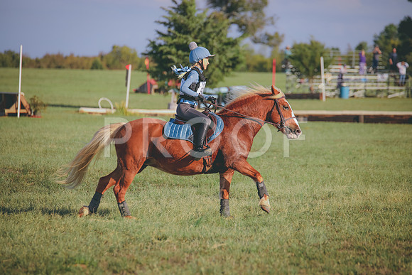 RWP_0023