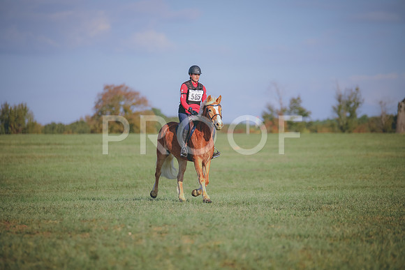 RWP_0027
