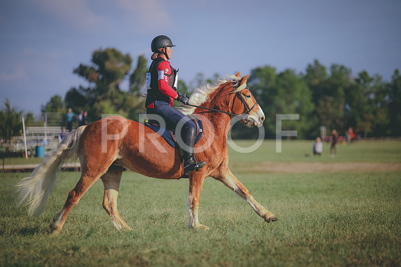 RWP_0032