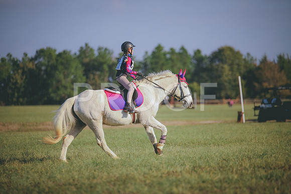 RWP_0045