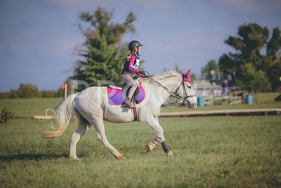 RWP_0044
