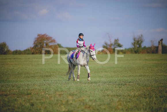 RWP_0037