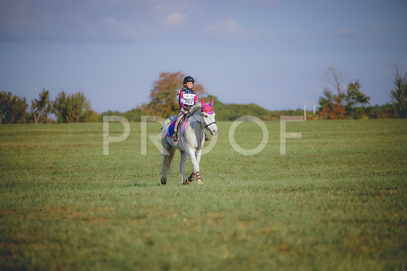 RWP_0035